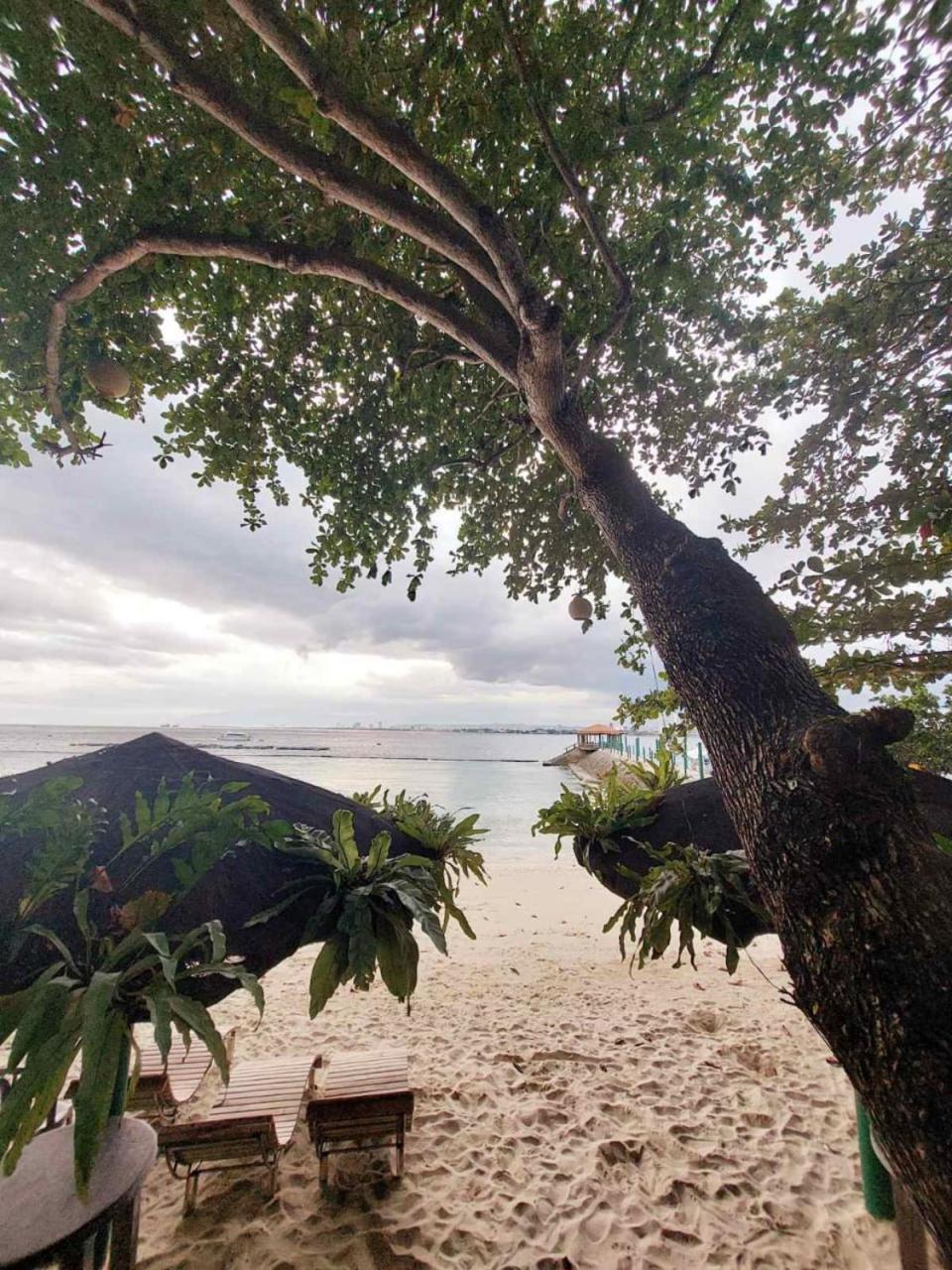 Hotel Chema'S By The Sea Samal Exteriér fotografie