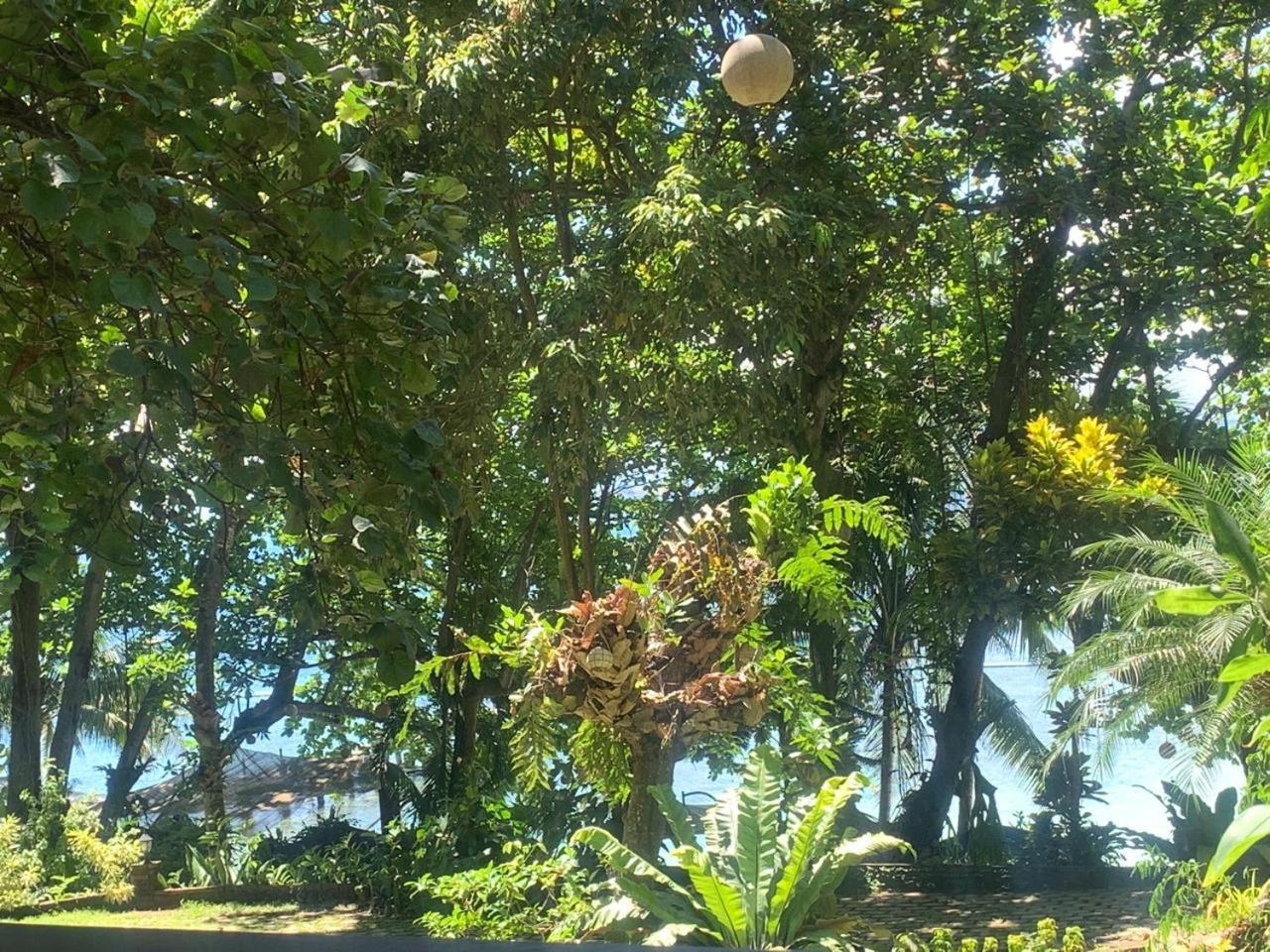 Hotel Chema'S By The Sea Samal Exteriér fotografie